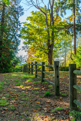 Wall Mural - Park Fence And Trees 4