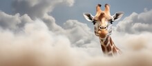 Animal Photography, Portrait Funny Giraffe Over Blue Sky With White Clouds. AI Generated Image