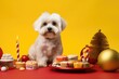 fluffy white Maltese dog with a joyful expression, posing amidst an array of Christmas sweets