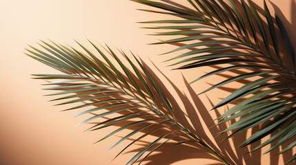 Aufkleber - Shadow of tropical leaves on light background