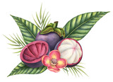 Mangosteen with palm leaves and flowers. Watercolor hand drawn illustration of exotic tropical Fruit on isolated background. Drawing of asian food with garcinia and juicy slices. Sketch of mangostana.