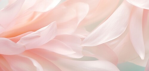 Extreme close-up of delicate flower petals, subtle minty greens and pale blush pinks, in the style of botanical photography, depth of field, serene visuals, minimalistic simplicity