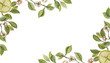 Blooming lemon tree. Rectangular frame in watercolor. Citrus slices and small white flowers on curved branches. Corner isolated pattern. Ideal for kitchen decor