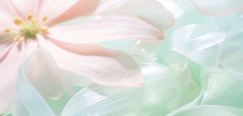 Wall Mural - a close-up of delicate flower petals, gentle pastel mint green and muted blush lime, in the style of botanical photography.