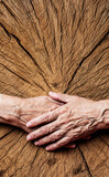 Fototapeta Kwiaty - old elderly hands and old tree - concept