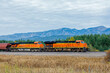 freight train pulling cargo in a mountainous scene with a large sky close to Whitefish, Montana