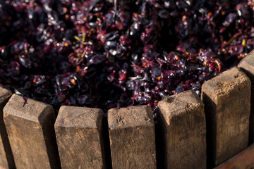 The squeezer is used to press the wine. Technology of wine production in Moldova. The folk tradition of making wine. The ancient tradition of grape processing. Harvest home.