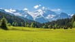 Alpine Meadow Watzmann Mountain Berchtesgadener Land. Grass mountain background