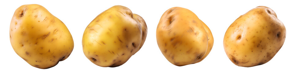 set of potatoes isolated on transparent background - design element PNG cutout collection