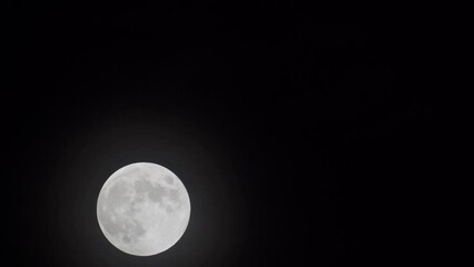 Wall Mural - motion of full moon rising in the dark sky at night. - timelapse