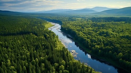 Wall Mural - a river running through a forest