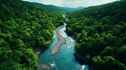 Canvas Print - a river running through a forest