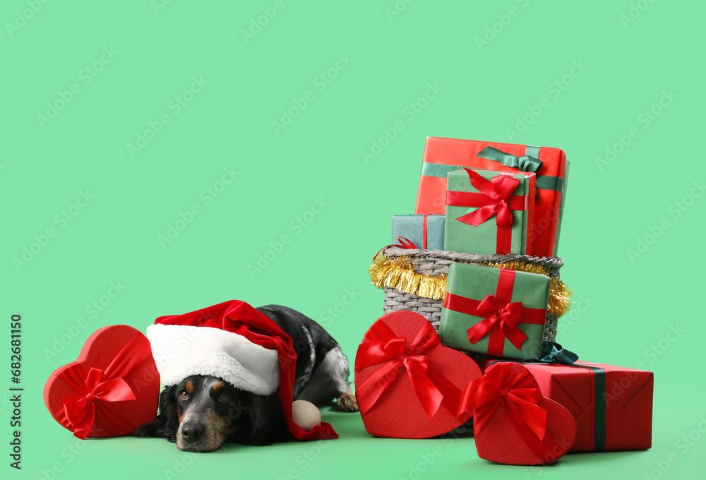 Cute cocker spaniel in Santa hat with Christmas gifts on green background