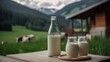 Glass bottle with natural organic cow milk on the table in farm with cows.