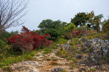 Wall Mural - 日本の兵庫県赤穂市の雄鷹台山のとても美しい秋の風景