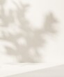 Blank minimal white countertop podium, soft beautiful dappled sunlight, tropical foliage leaf shadow on cream wall for luxury hygiene organic cosmetic, skincare, beauty treatment product background 3D