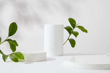 Sticker - Minimal style for advertising and branding products with green tea ingredient. White geometries podiums decorated with green tea leaves on white background. Space for design