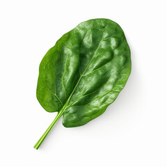 Wall Mural - Spinach leaf isolated on white background