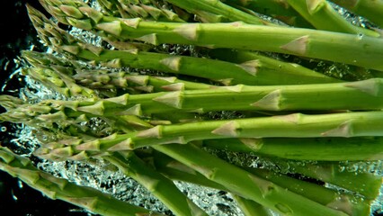 Leinwandbilder - Super slow motion of falling asparagus into water. Isolated on black background. Filmed on high speed cinema camera, 1000fps.