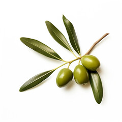 Wall Mural - Olive leaves isolated on white background