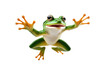 a high quality stock photograph of a single jumping happy frog isolated on a white background