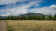 View of Mt. Humphrey from the trail in the Buffalo Park, Flagstaff, Arizona