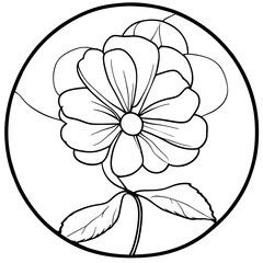 black and white flower