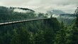 Generative AI, treetop boarding bridge on misty fir forest beautiful landscape in hipster vintage retro style, foggy mountains and trees.	
