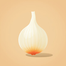 A Clean And Sleek Onion With Its Papery Layers. Flat Clean Cartoon 2D Illustration Style
