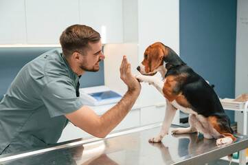 Giving high five with paw. Dog in veterinarian clinic with male doctor