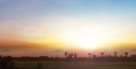 Wall Mural - panorama landscape nature twilight soft light sunshine outdoor yellow and orange sky background
