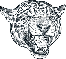 Vintage Hand Drawn Sketch Of Roar Jaguar Head