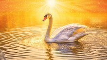  A White Swan Floating On Top Of A Body Of Water Under A Yellow And Orange Sky With A Starburst Above It.