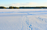 Fototapeta Konie - Sunny landscape at frozen lake