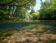 Wild river under trees foliage with trout fish underwater, split level view over and under water surface,  natural scene, Spain, Galicia, Pontevedra province, Rio Verdugo