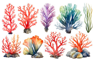 Set of watercolor seaweed and corals isolated on transparent background