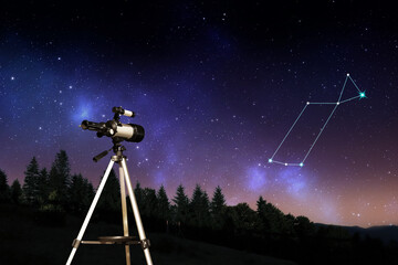 Wall Mural - Lyra constellation in starry sky over forest at night. Stargazing with telescope