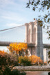 Brooklyn bridge in fall