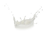 Fototapeta Sport - Splash of fresh milk on white background