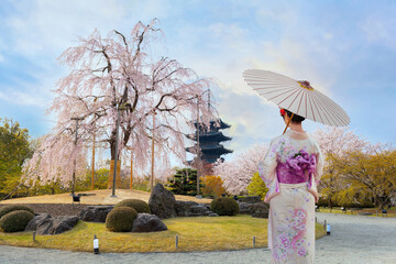 Sticker - Young Japanese woman in traditional Kimono dress at Toji Temple in Kyoto, Japan with beautiful full bloom cherry blossom during springtime