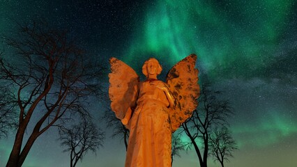 Wall Mural - angel statue in the night