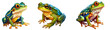 Three (3) set of beautiful and vibrant frogs on a transparent white background, PNG, Generative AI 