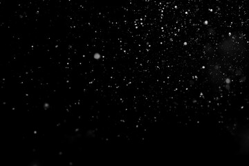 Poster - Falling snow isolated on black background