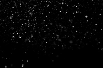 Poster - Falling snow isolated on black background