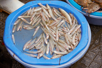 Wall Mural - Fresh fish at traditional market