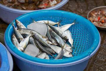 Wall Mural - Fresh fish at traditional market