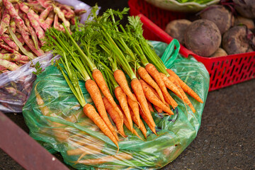 Wall Mural - fresh carrots in a market