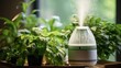 Air purifier and humidifier provides cold steam to hydrate green houseplants contributing to a healthy lifestyle by ensuring care and moisture in dry air as well as fresh air cleanliness