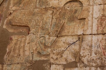 Wall Mural - Inscriptions on the walls and columns of seti 1 temple in Abydos in Sohag in Egypt