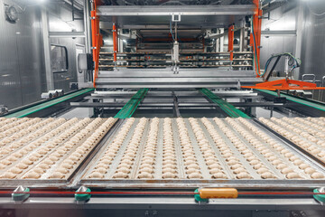 Process Production of French croissants, puff pastry dough pieces are automatically moved along line conveyor. Concept smart modern technology in food industry